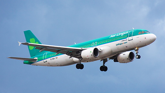 EI-DEK ✈ Aer Lingus Airbus A320-214